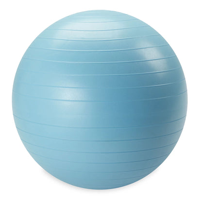 55Cm Small Weighted Stability Ball, Pump Included